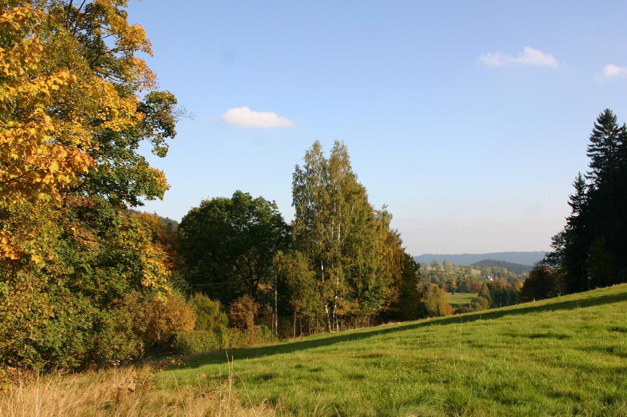 Jeleni Chata Skladanka Lučany nad Nisou Zewnętrze zdjęcie