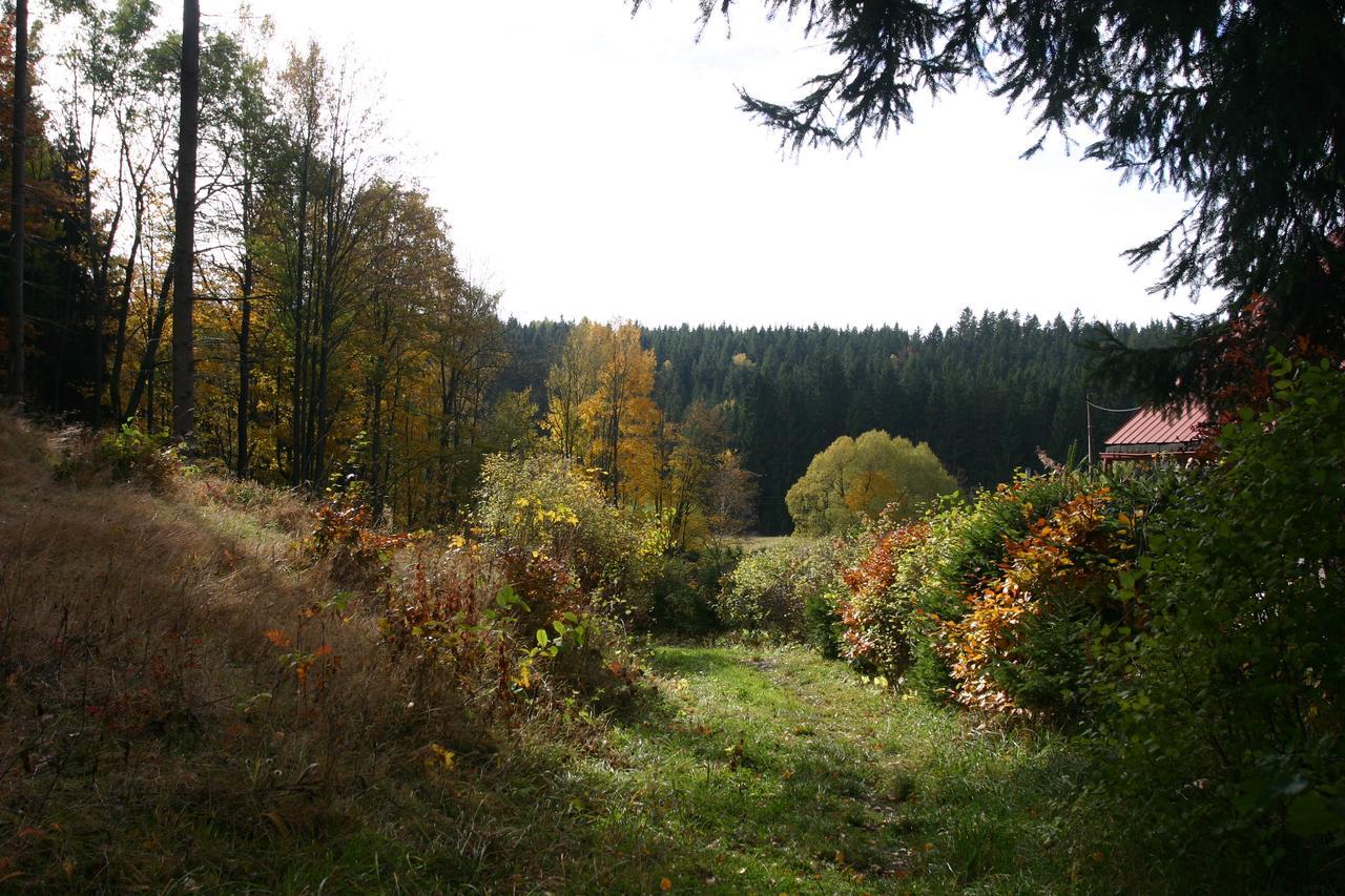 Jeleni Chata Skladanka Lučany nad Nisou Zewnętrze zdjęcie