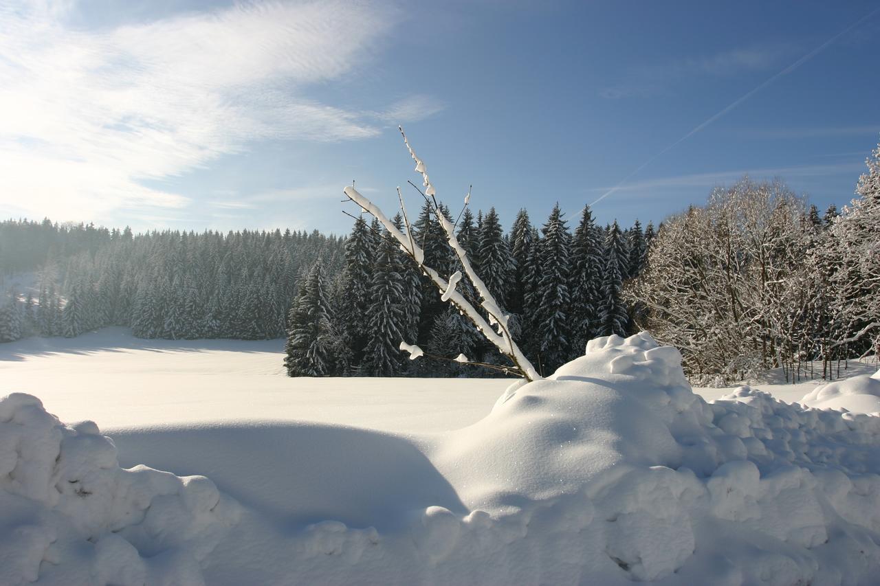 Jeleni Chata Skladanka Lučany nad Nisou Zewnętrze zdjęcie